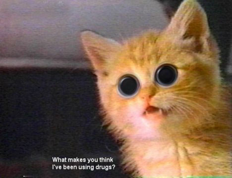 Funny picture of the day